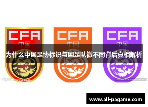为什么中国足协标识与国足队徽不同背后真相解析 为什么中国足协标识与国足队徽不同背后真相解析